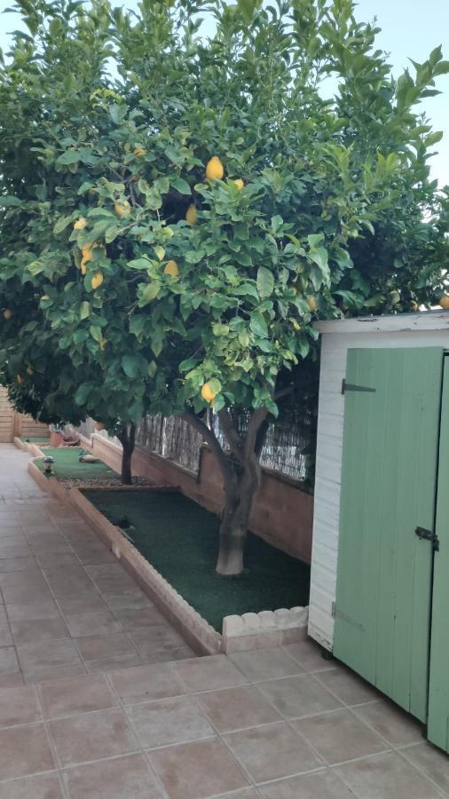 Es Cantonet Calvia  Kültér fotó